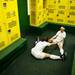 Skyline Carmen Flesher and Sydney Hutnik stretch in the locker room during the second weather delay of the game against Huron on Thursday, May 30. Daniel Brenner I AnnArbor.com